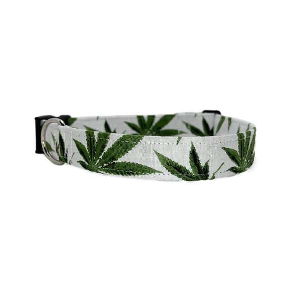 Cannabis Dog Collar - Picture 1 of 8